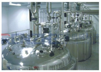 中試及工業規模機械攪拌發酵罐